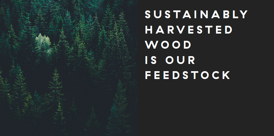 The sustainably harvested wood is our feedstock